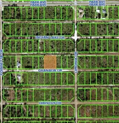 INDIAN LAKE ESTATES UNIT - Land