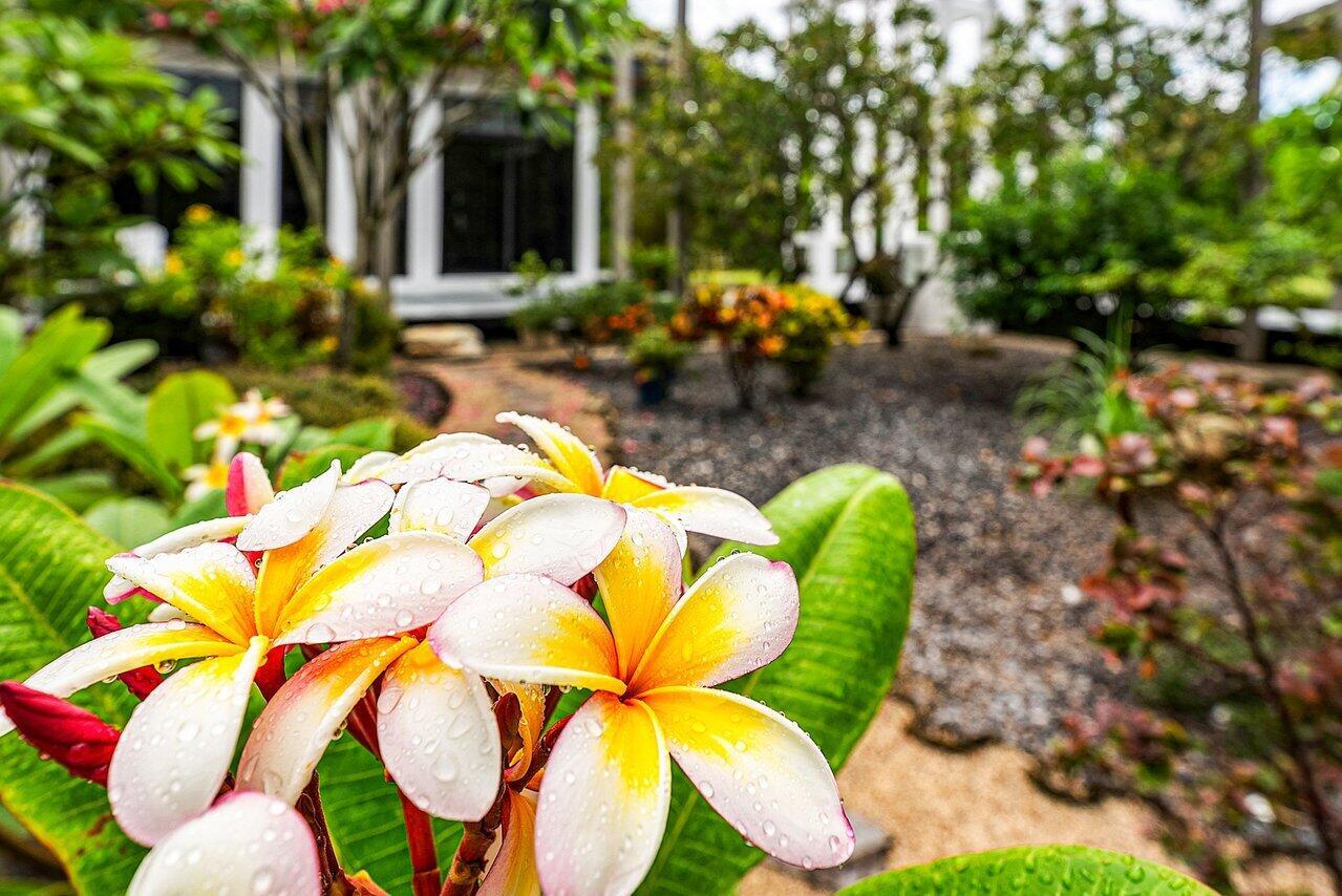 Horseshoe Acres | PALM BE - Residential