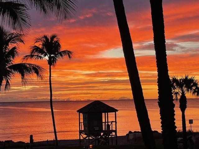 OCEAN PLAZA - Residential