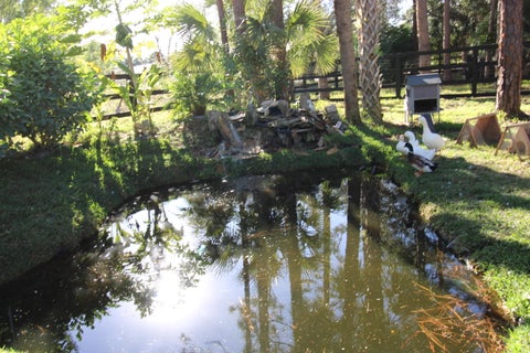 Tiny photo for 930 Rambling Drive Circle #LITTLE RANCHES, Wellington, FL 33414 (MLS # B26081021)