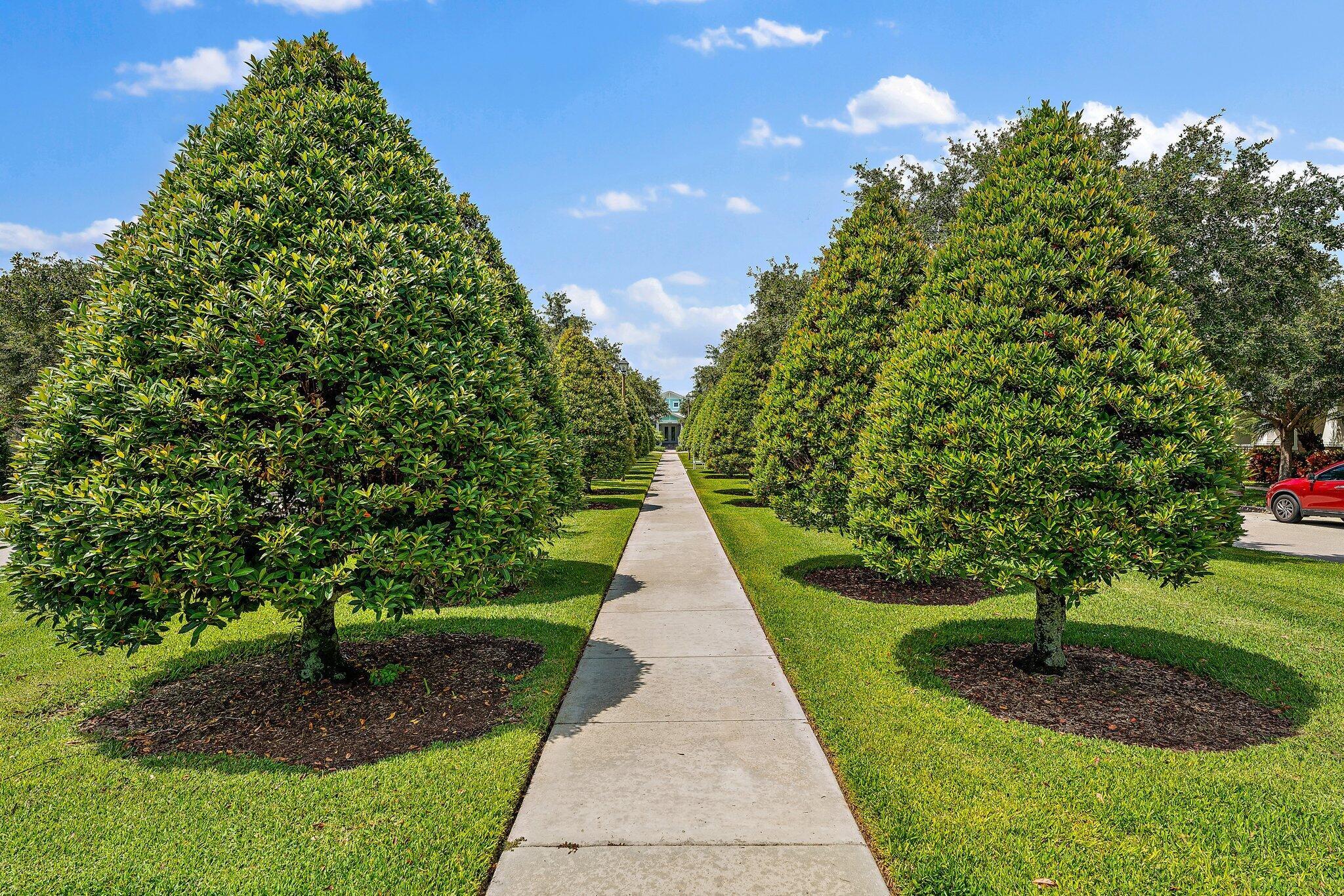 WINDSOR PARK AT ABACOA - Residential