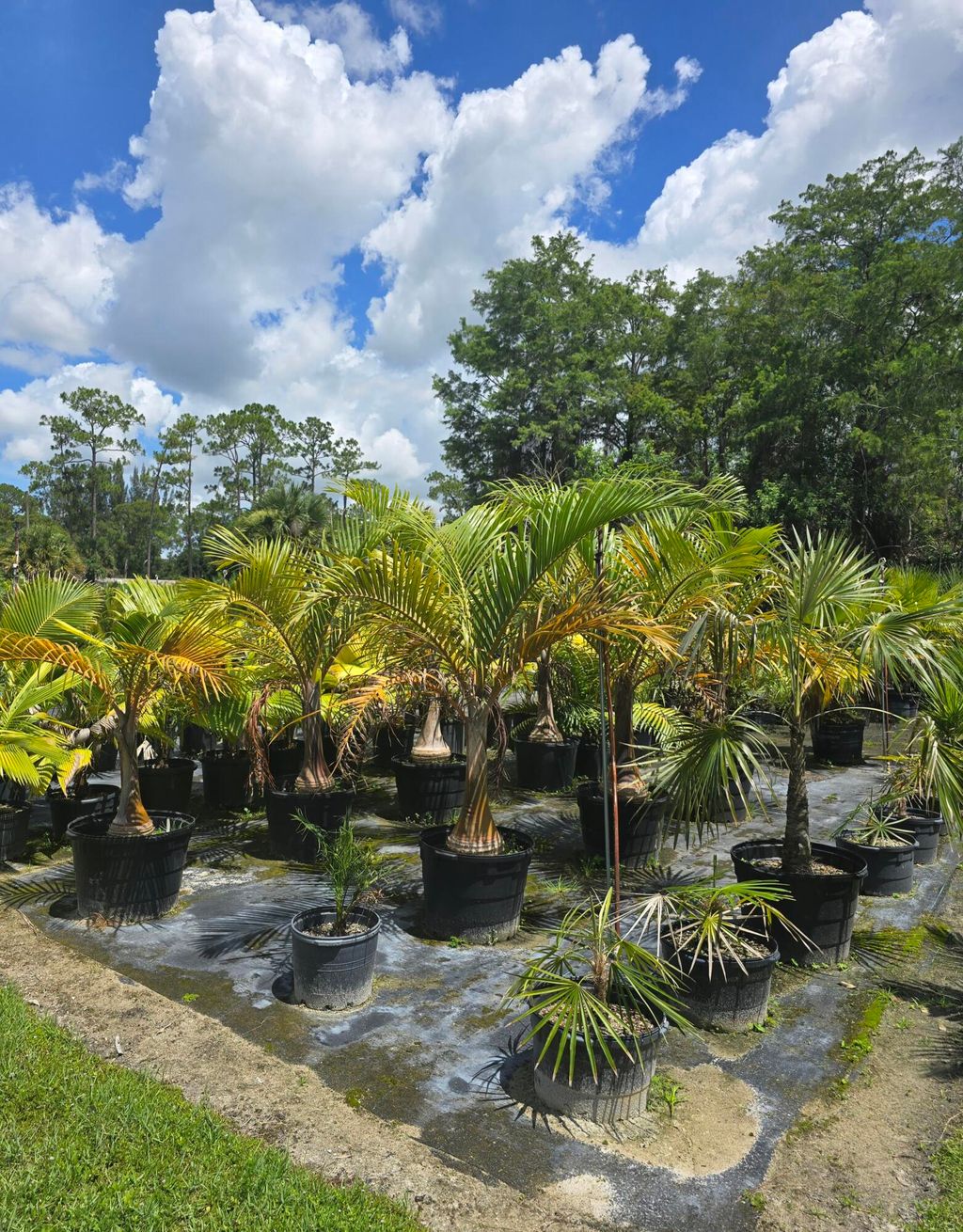 Photo of 0 B Road, Loxahatchee Groves, FL 33470 (MLS # R11123818)