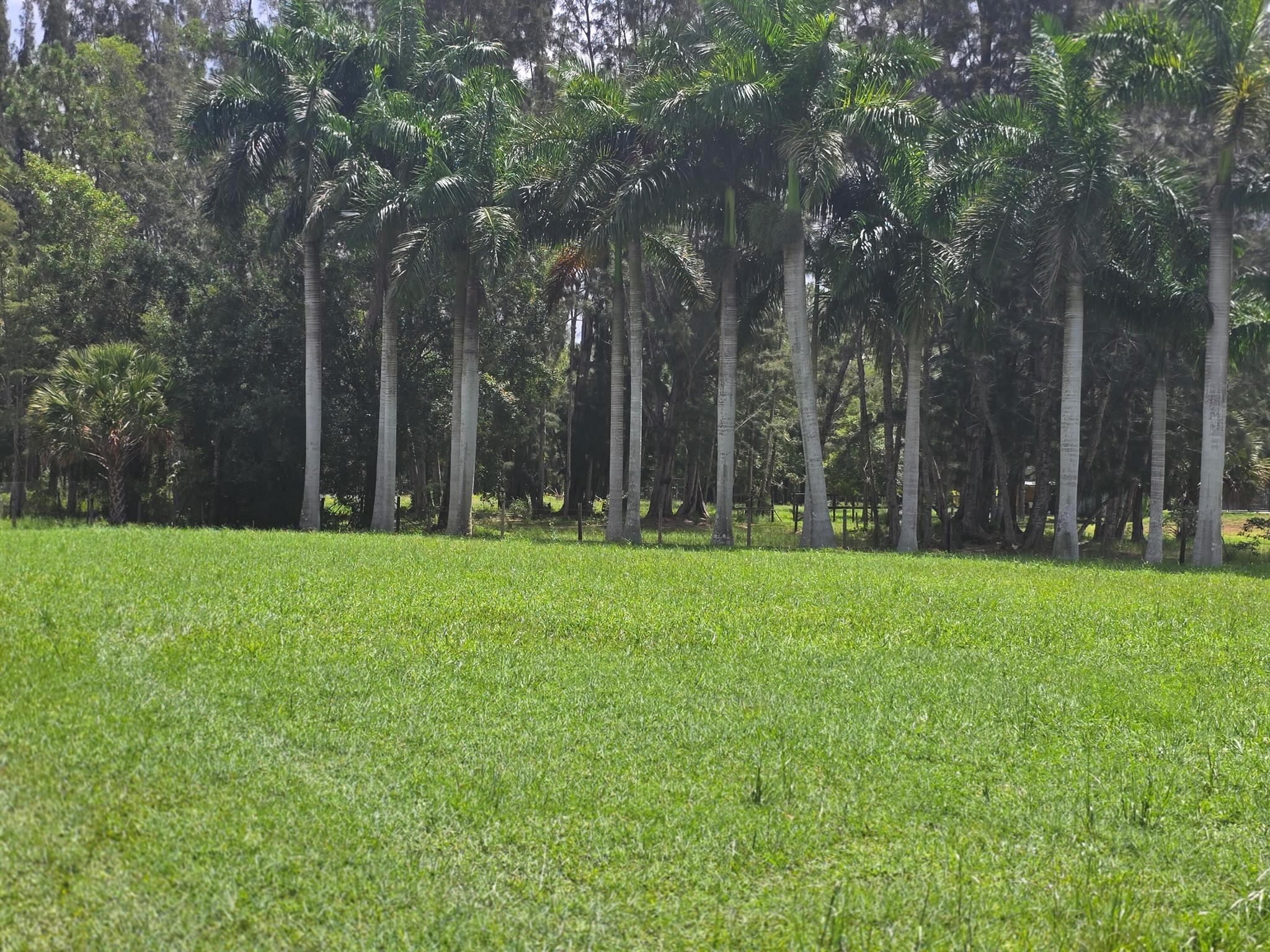 Loxahatchee Groves - Land