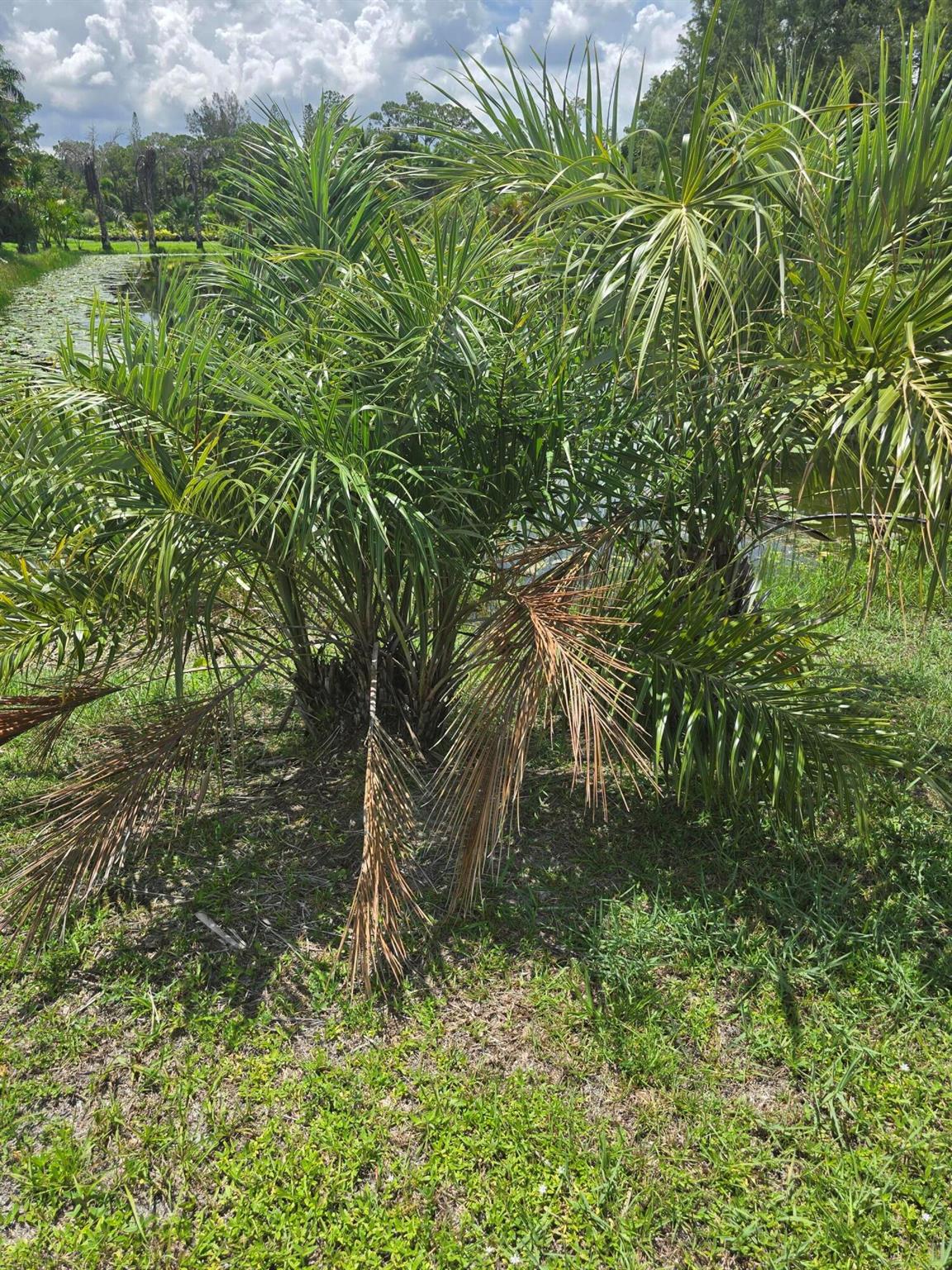 Loxahatchee Groves - Land