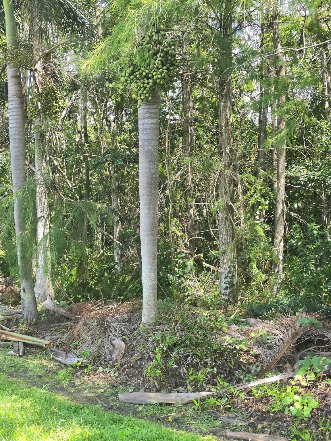 Loxahatchee Groves - Land