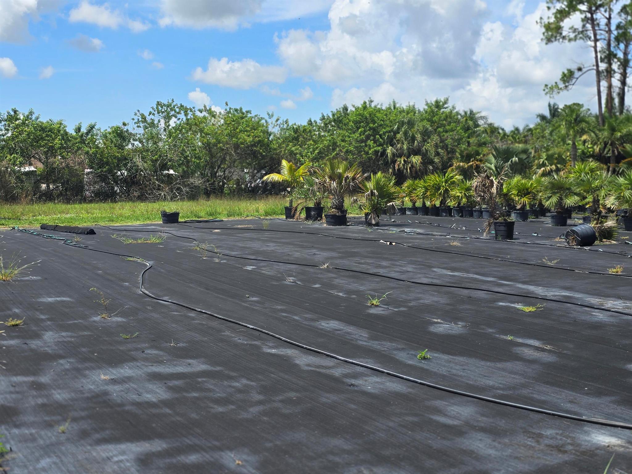 Loxahatchee Groves - Land