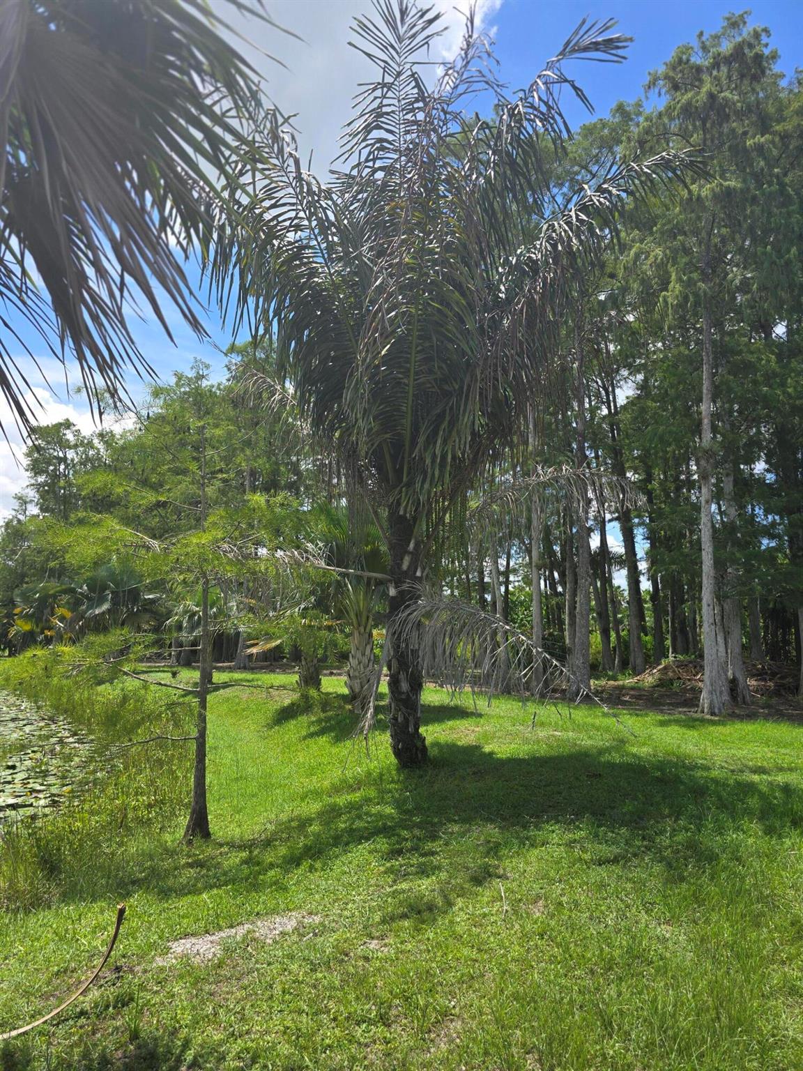 Loxahatchee Groves - Land