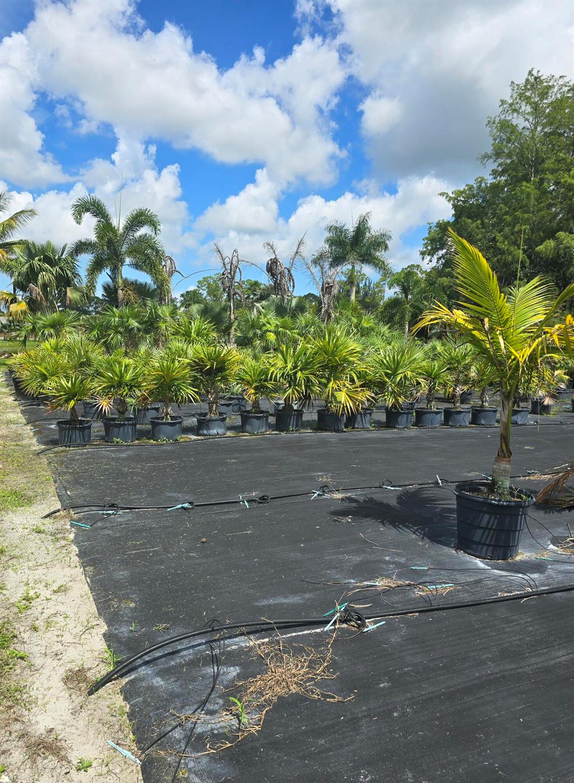 Loxahatchee Groves - Land