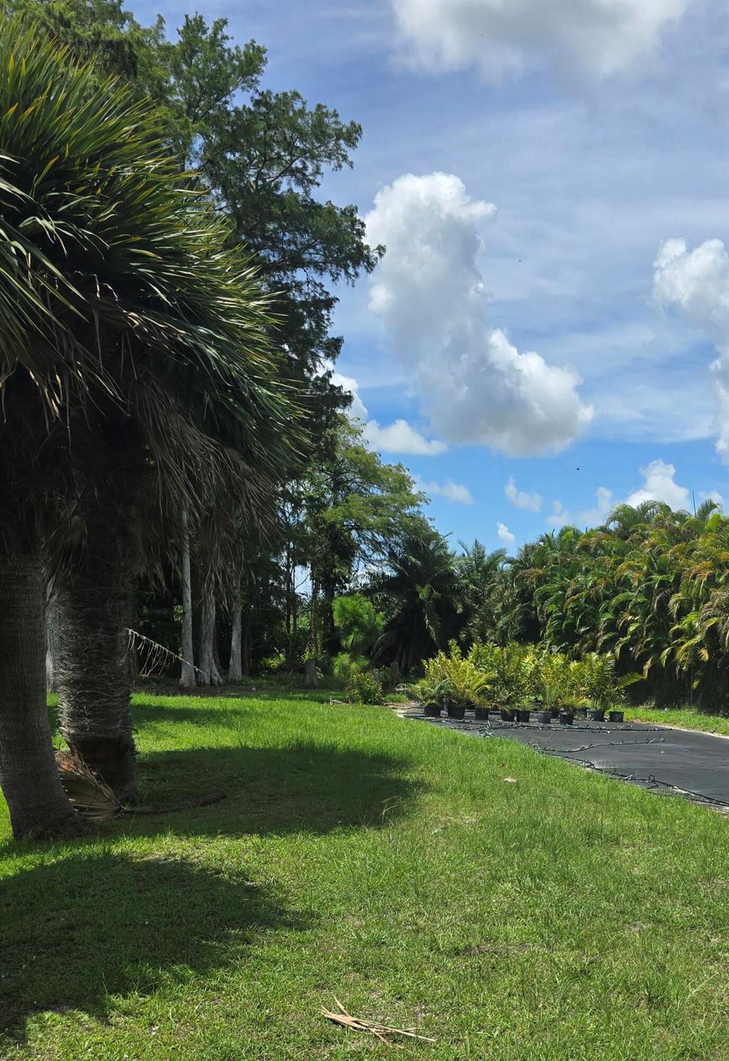 Loxahatchee Groves - Land