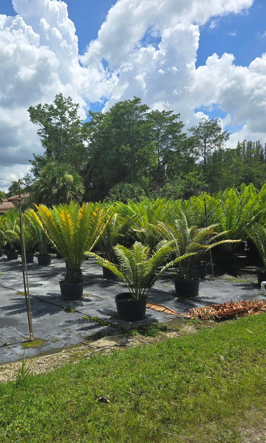 Loxahatchee Groves - Land