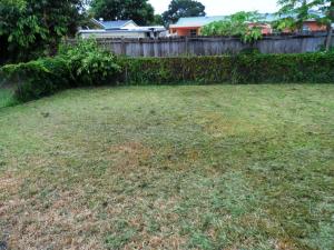 GUN CLUB EST - Residential