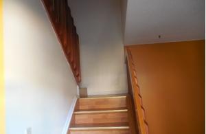 THE PINES - Residential