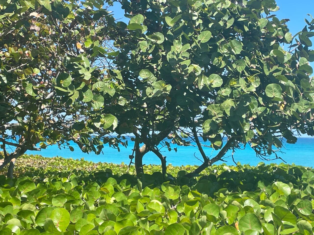 JUPITER DUNES CONDO - Residential