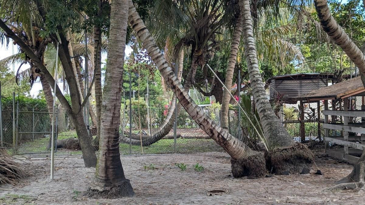 Bird Road Farmsites - Residential