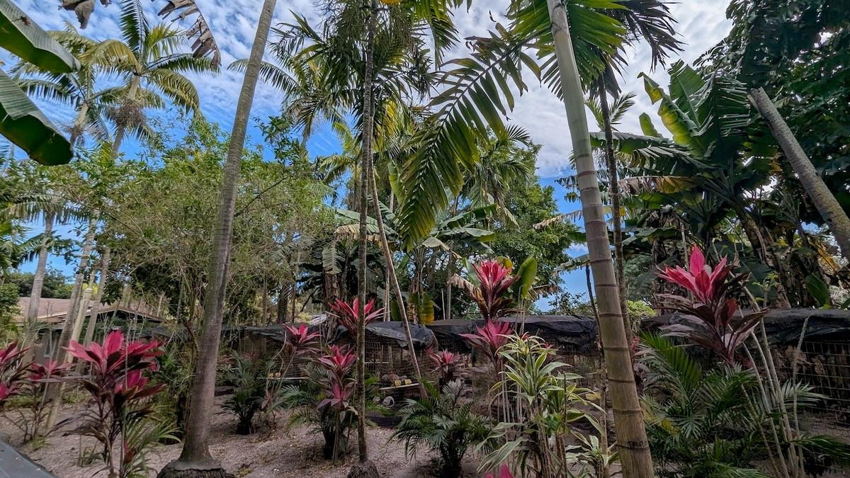 Bird Road Farmsites - Residential