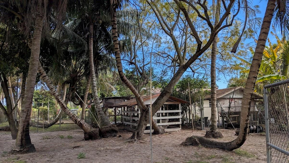 Bird Road Farmsites - Residential