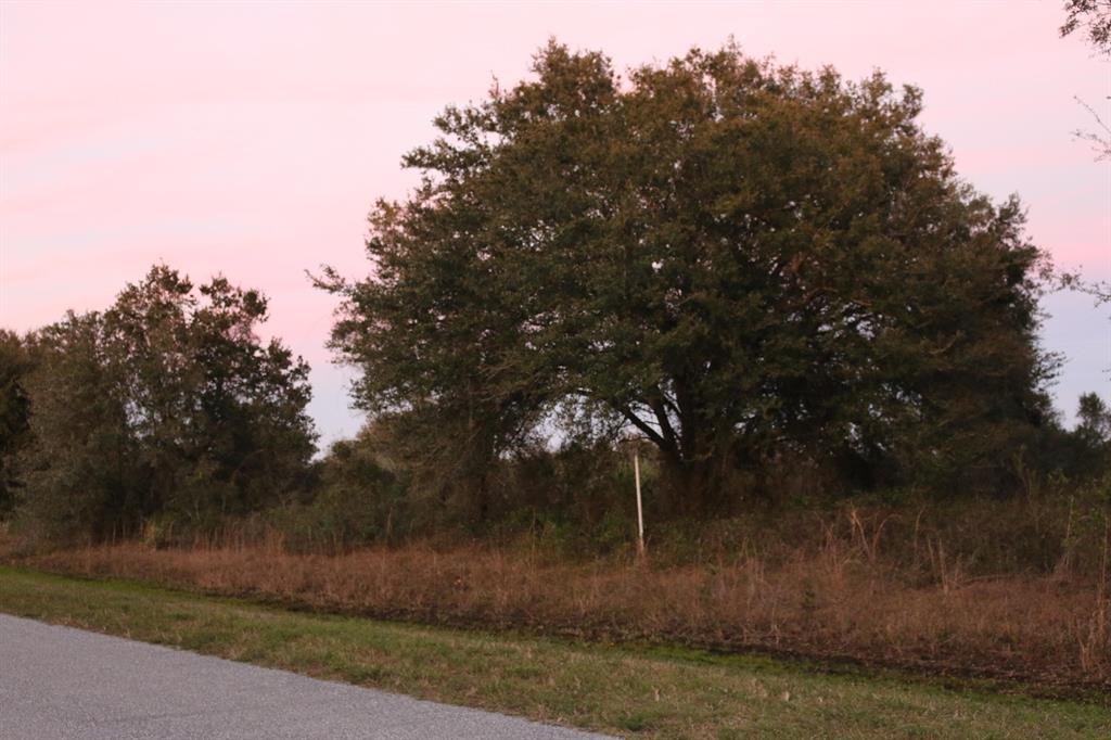 Come build your Dream Home on this amazing 3 acre lot. Located along a paved road with accessible utilities. Lot has mature trees and paved road frontage. These 3 acres provides unlimited options for your dream home and property.