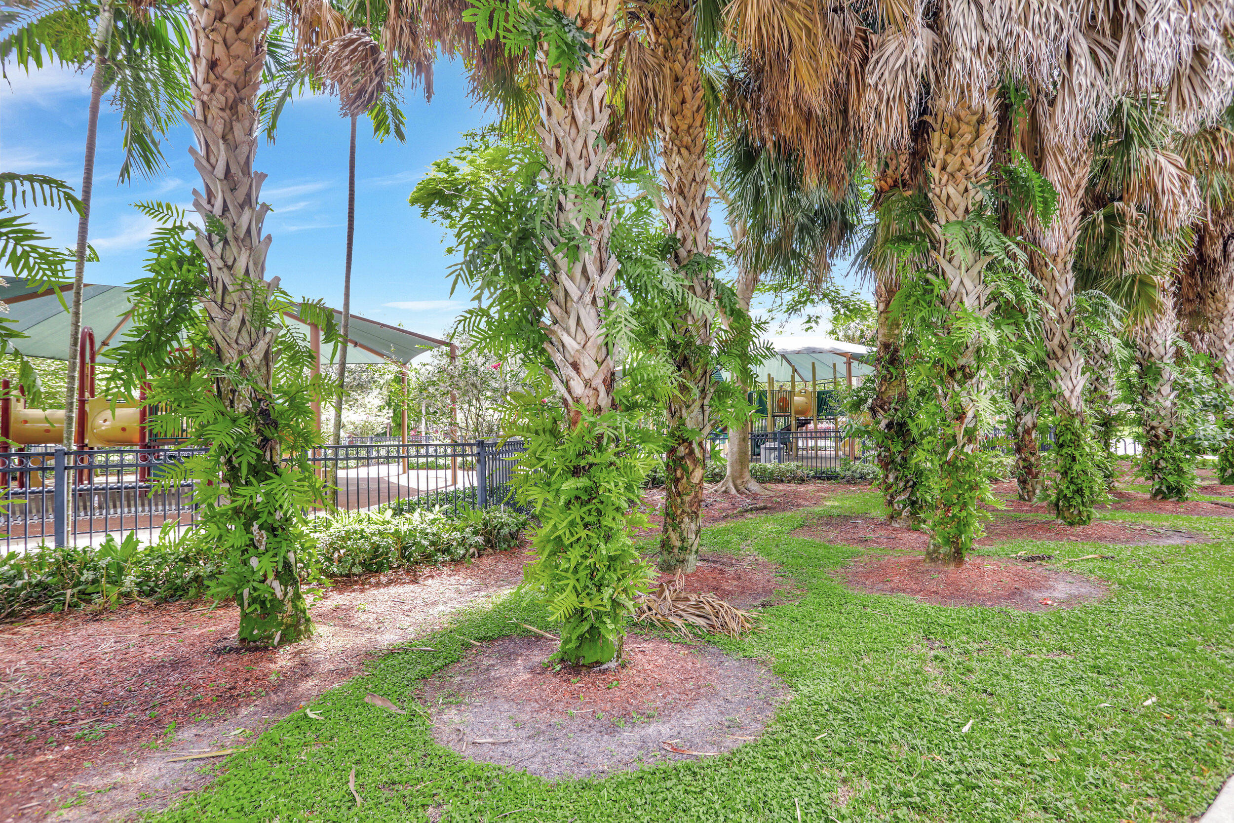 MISTY OAKS AT PALM-AIRE CONDO - Residential