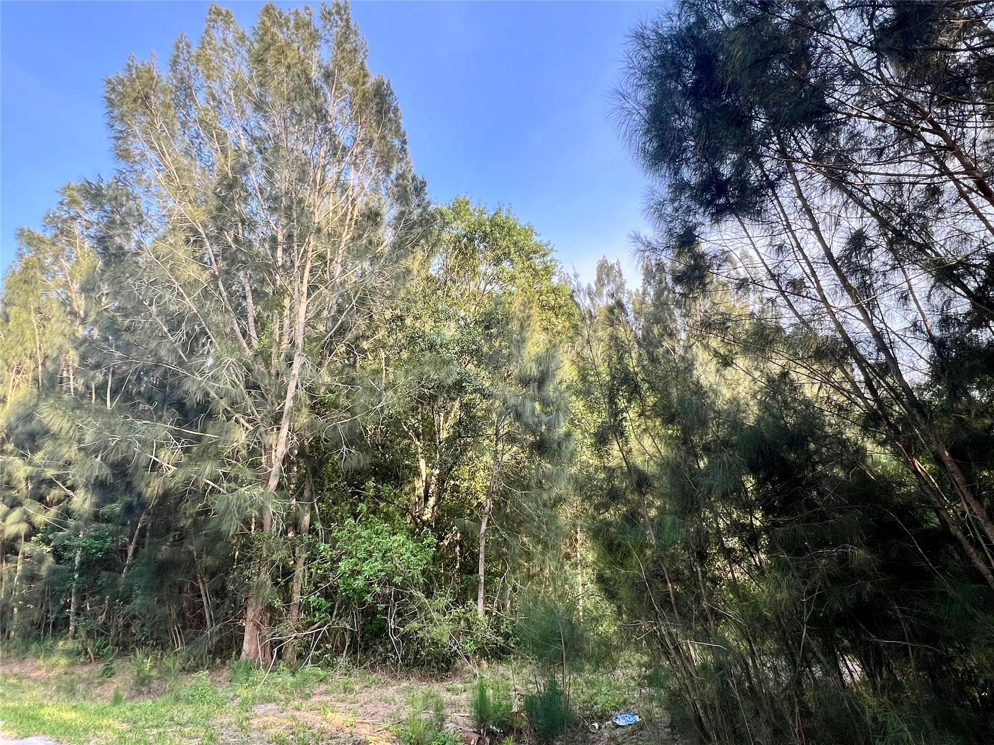Nestled in a quiet, natural setting, this 1-acre vacant lot offers a serene retreat surrounded by mature trees and dense woodland. The heavily wooded landscape provides exceptional privacy, making it an ideal location for a secluded home with easy commute to the southeast coast of Florida.