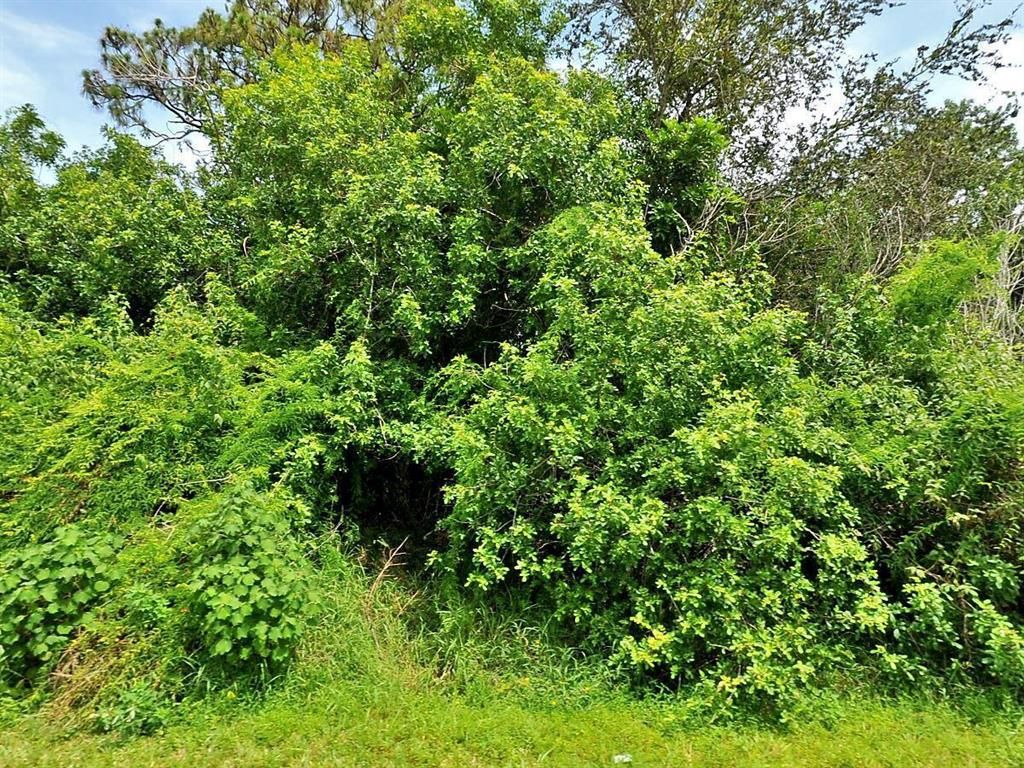 Photo of 473 SW Byron Street, Port Saint Lucie, FL 34983 (MLS # R10744644)