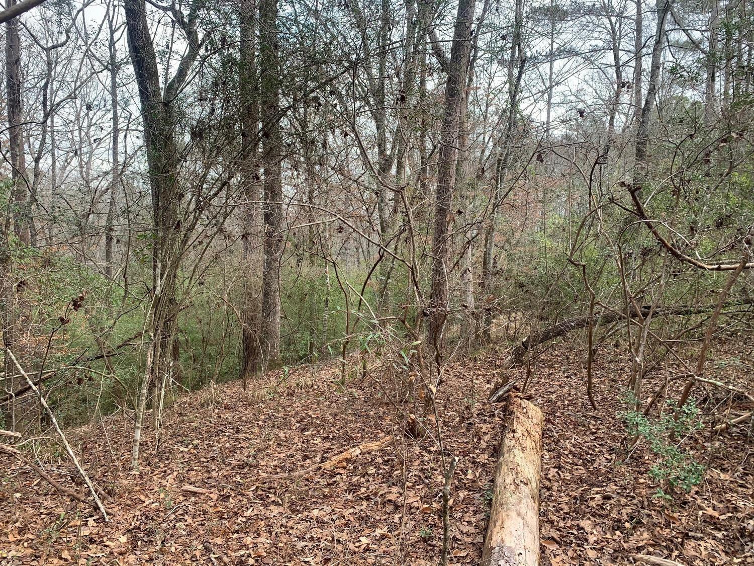 Spring Hill Farm - Land