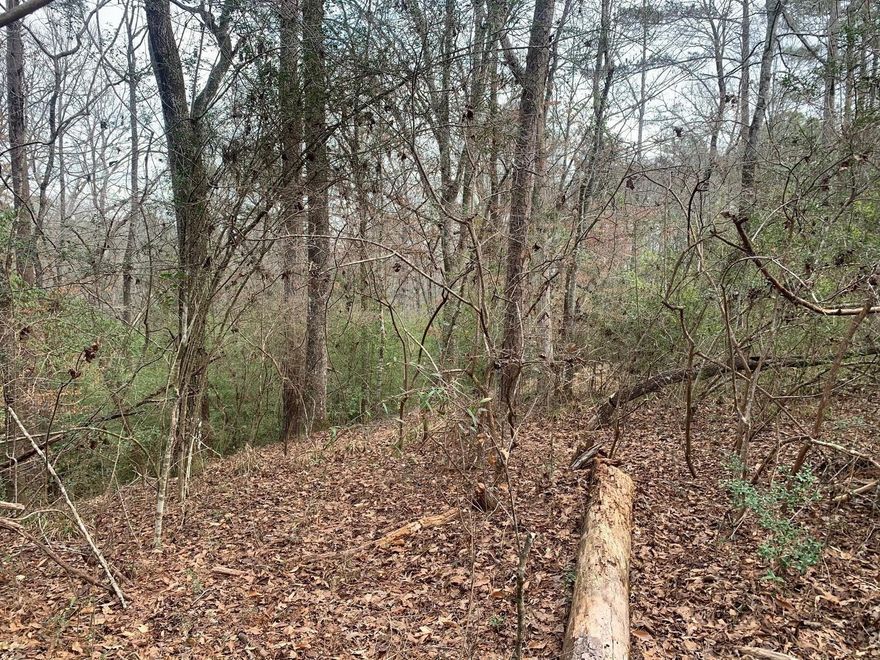 Beautiful wooded building lot in Westville, FL. Over an acre! Build your home and have plenty of room for your toys, ag, etc…. 
Owner finance​​‌​​​​‌​‌​​​‌‌​​​‌‌‌​​‌​​‌‌​​​​ available