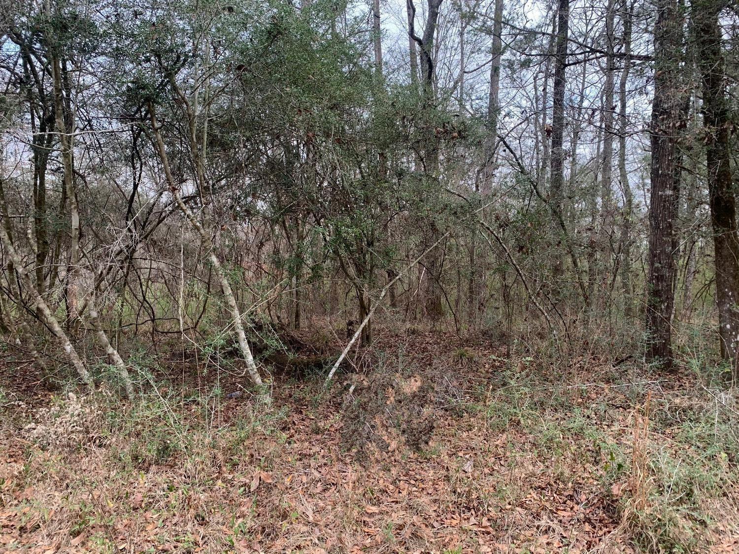 Spring Hill Farm - Land