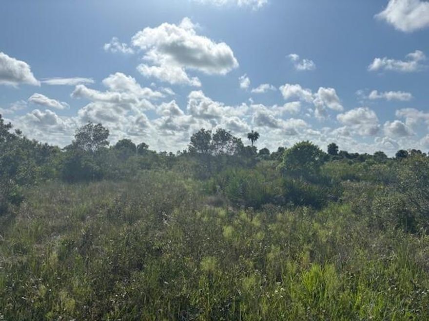 Double lot in Viking Estates. Close to the Kissimmee Prairie State Park. Bring your 4 -wheelers. This property is not only ideal for recreational uses such has camping, hunting and shooting, but it’s agricultural as well.
Owner financing available