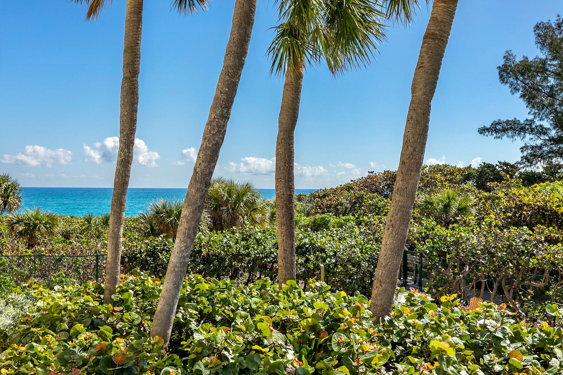 MARTINIQUE 2 CONDO - Residential