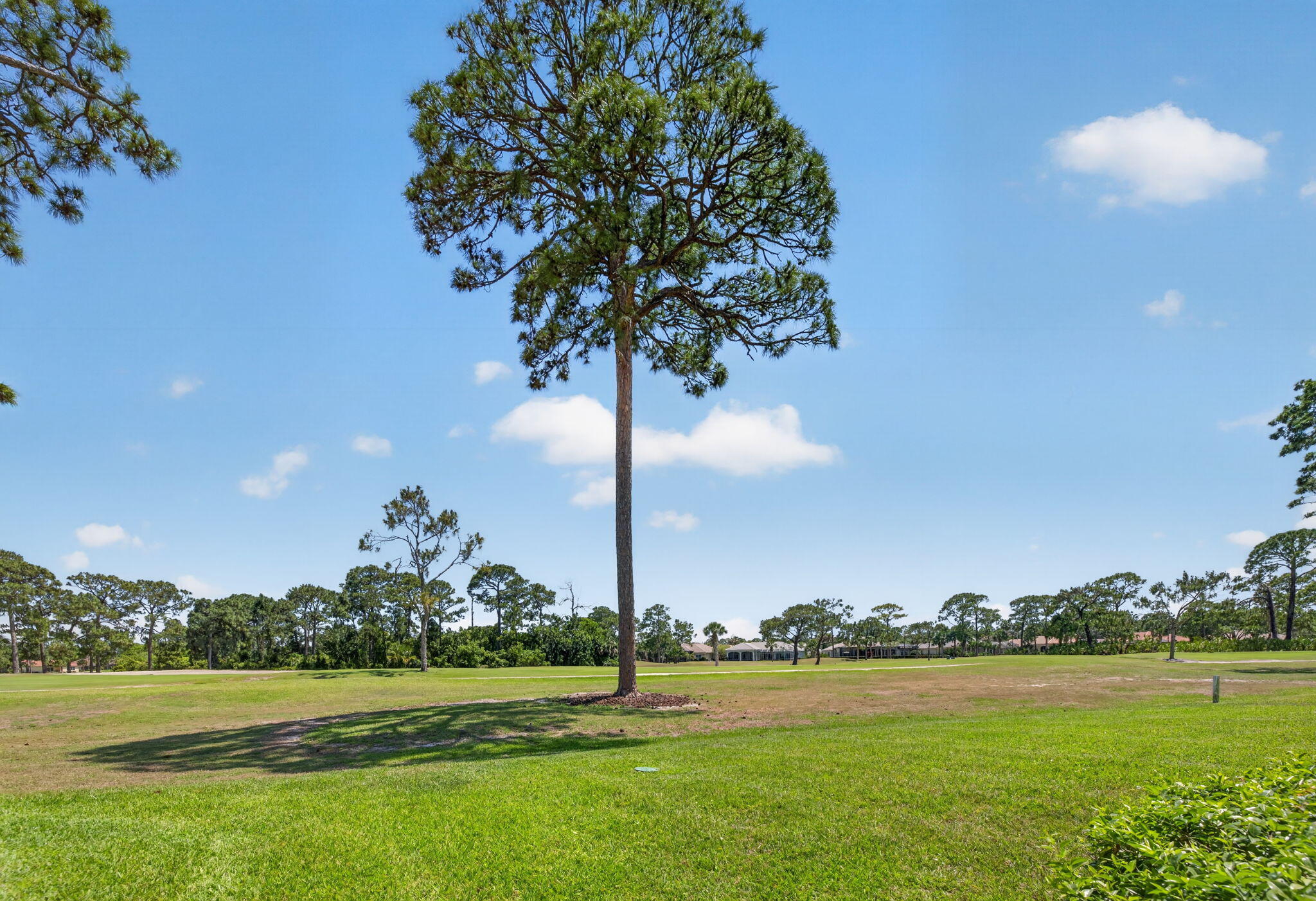 THE PINES AT THE RESERVE - Residential