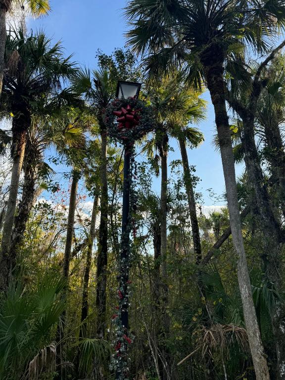 WHITE CITY SUBDIVISION - Land