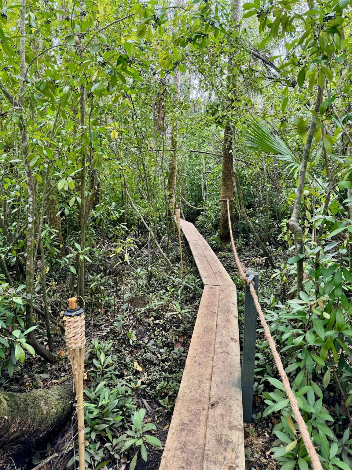 WHITE CITY SUBDIVISION - Land