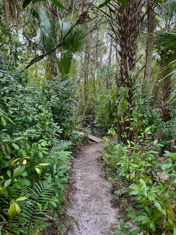 WHITE CITY SUBDIVISION - Land