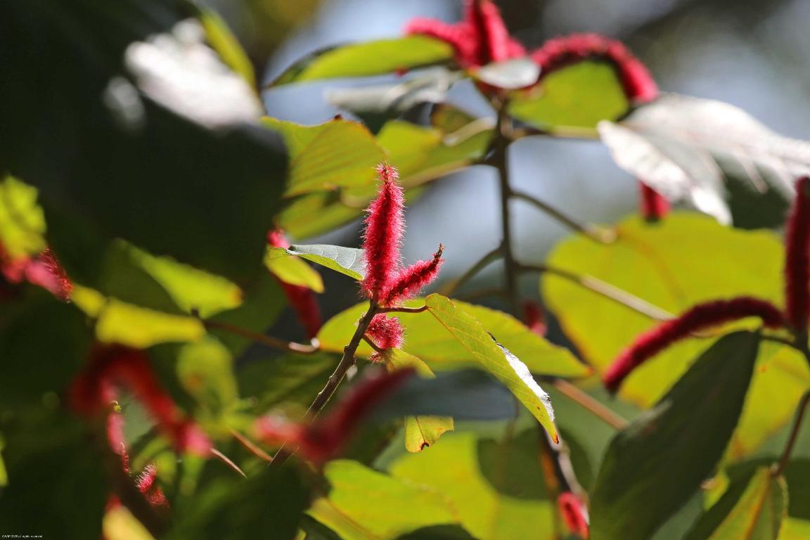 15262 Natures Point Lane