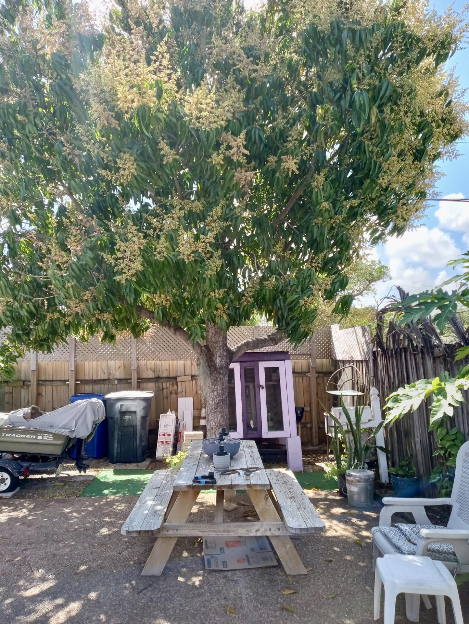 Lincoln Park First Add - Residential