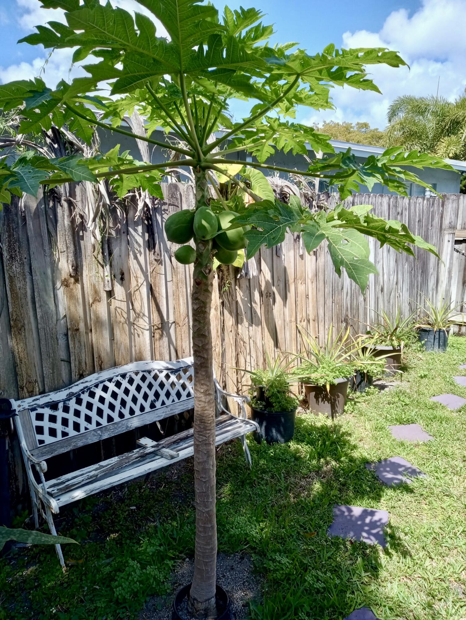 Lincoln Park First Add - Residential