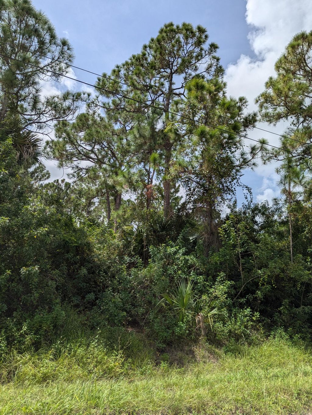 Photo of 392 76 Street N, The Acreage, FL 33470 (MLS # R11013834)
