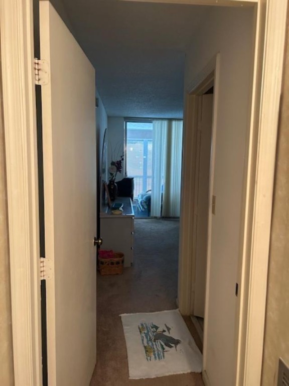 PALM LAKES - Residential