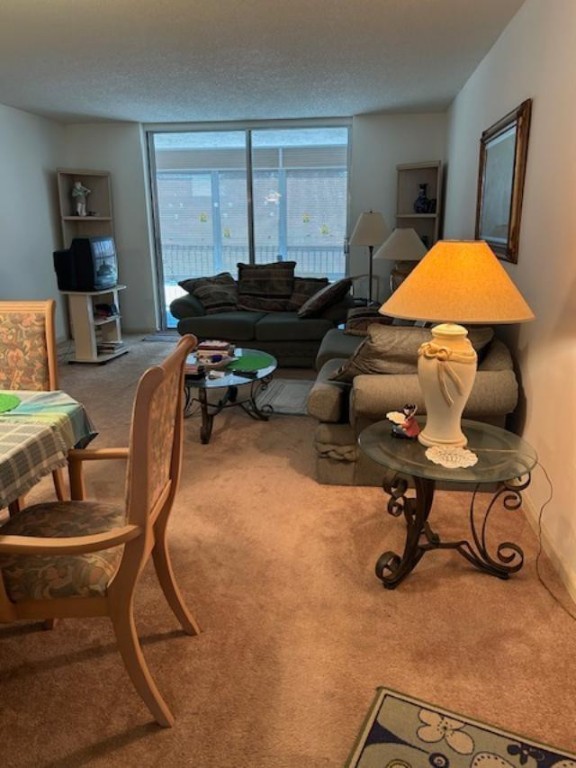 PALM LAKES - Residential