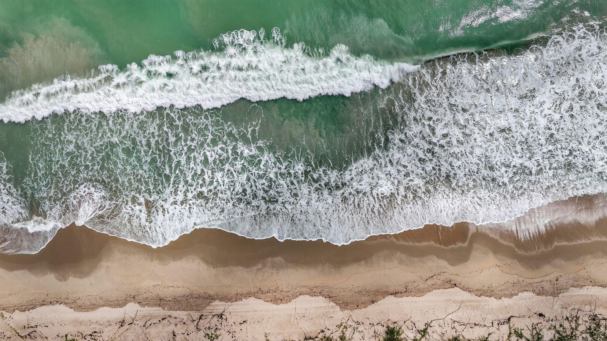 SEA PALMS CONDOMINIUM - Residential