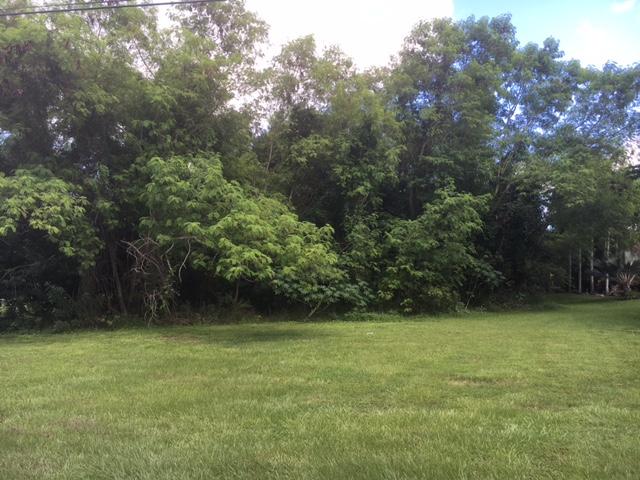 Pine Tree Estates - Land