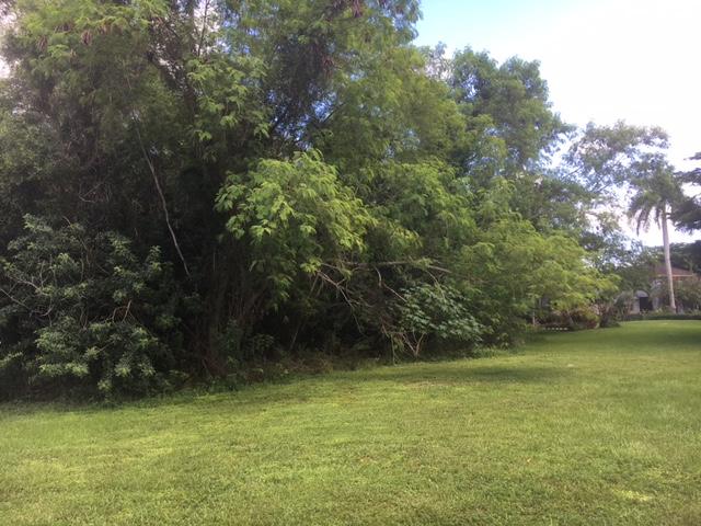 Pine Tree Estates - Land