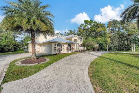 A home in Parkland