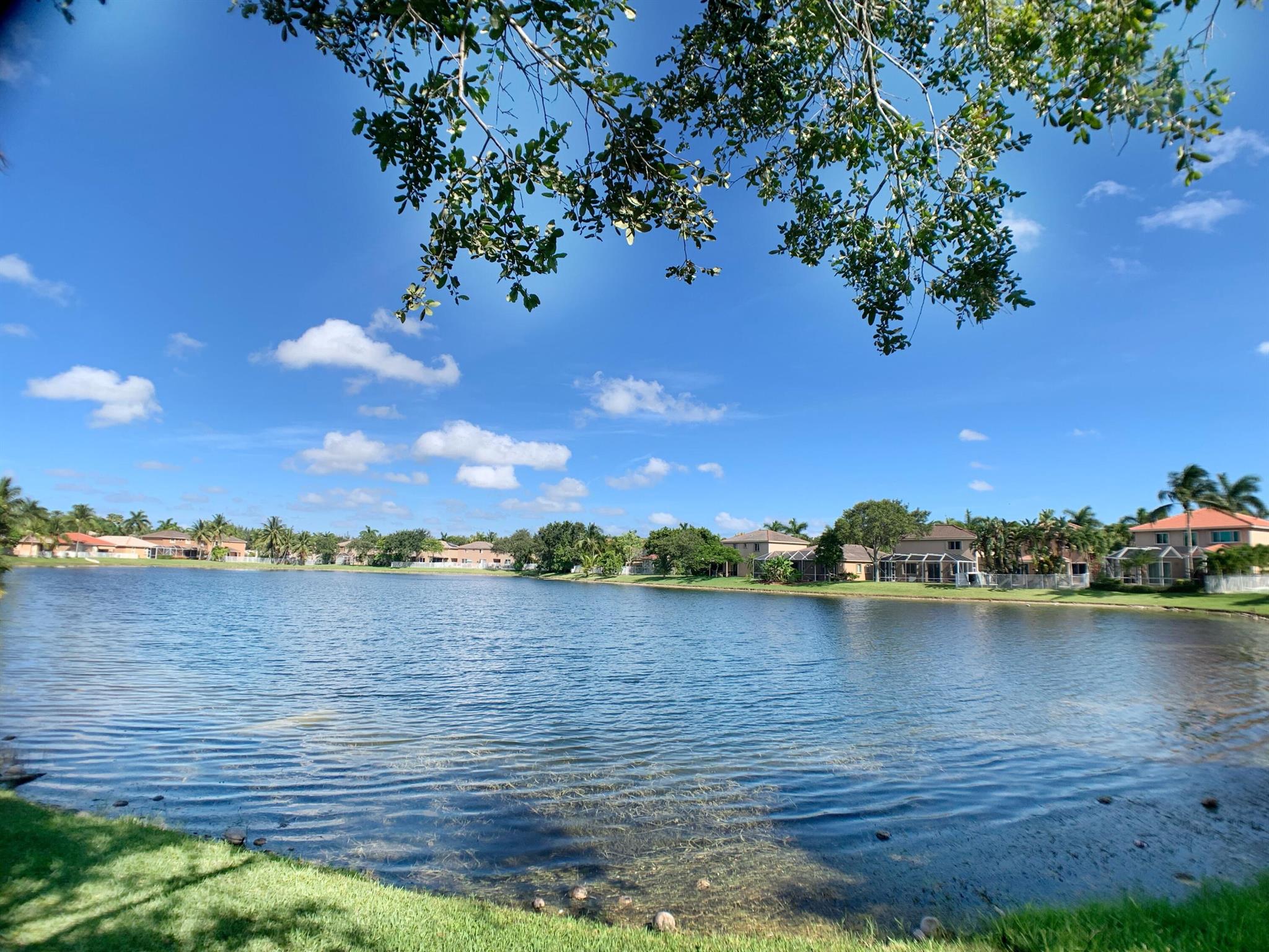 A rare find beautiful huge, stunning lake view 2 stories 4 bed 3 bath house with one room & full bath downstairs. upscale community. Great den for home office. 3 years ago, totally renovated - painted, including replaced new AC unit, washer, dishwasher, all blinds, ceiling fans, lighting and all laminate on 2nd floor. !st floor with quality tiles. Well maintained. Open Spacious granite kitchen with double sinks, lots of cabinets and shelves. large lakeview dinning & living room. Spacious kitchen with double sinks, New disposal, with lots of cabinet space & a pantry. Big size washer & Dryer in a laundry room with cabinets. lakeview screen in patio. huge club house with pool & sport Ct. A school, near shopping, gourmet restaurant. 5 mins to hway. HOA requires 650 credit. message preferred