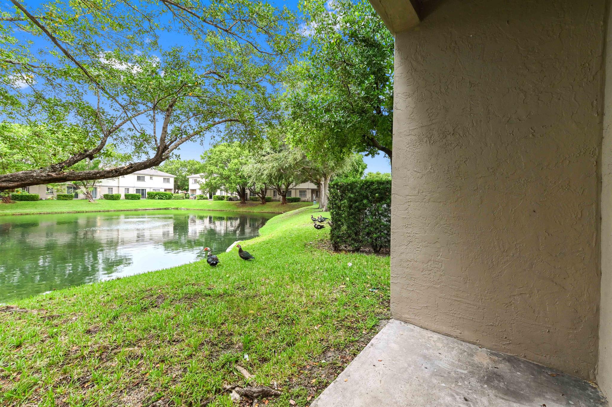 MARSH HARBOUR - Residential