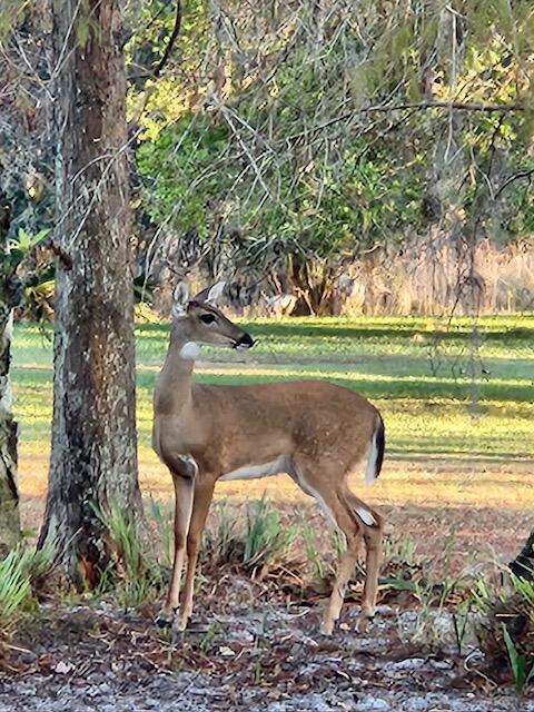 THE RETREAT - Residential