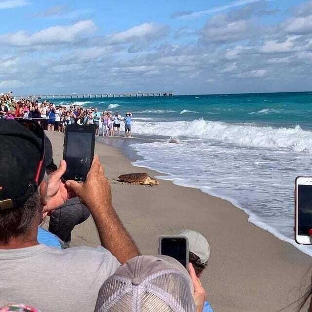 SEA COLONY CONDO - Residential