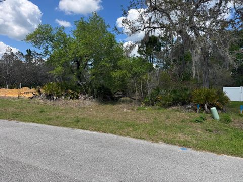 1625 Pickerel Court Poinciana FL 34759