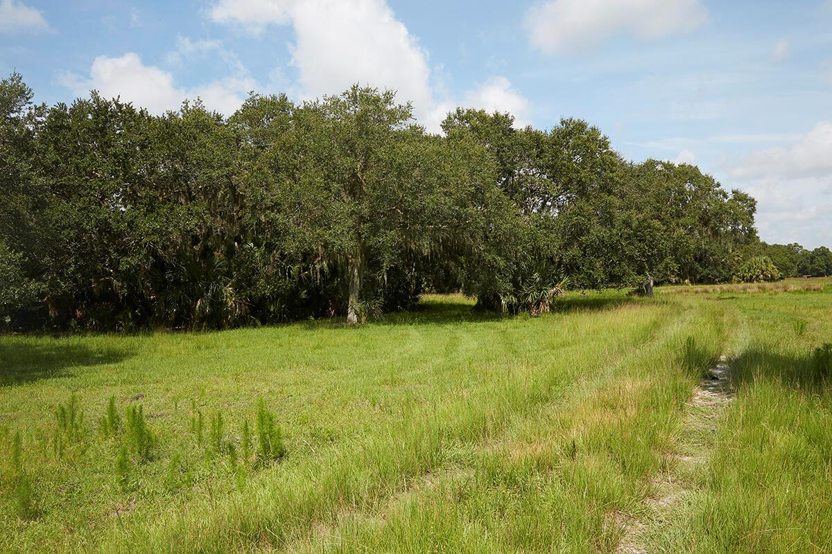 MARTIN COUNTY RANCH COMMU - Land