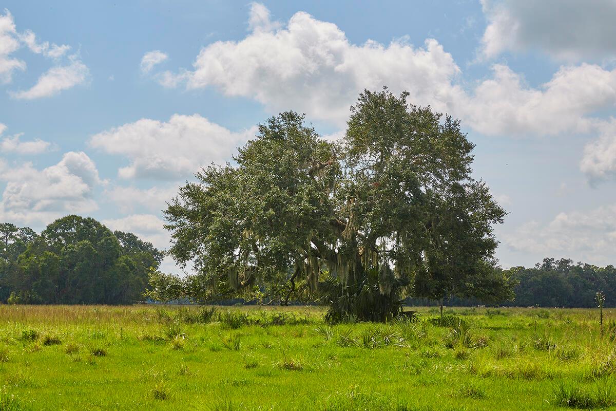 MARTIN COUNTY RANCH COMMU - Land
